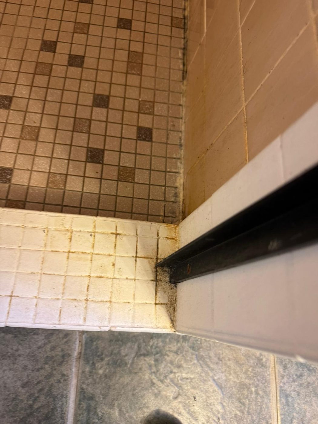 Real cleaning work by Bloom Home Services